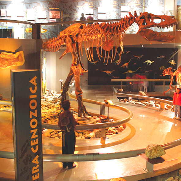 Visitar el Museo del Desierto – SALTILLO, DESTINOS DE MÉXICO